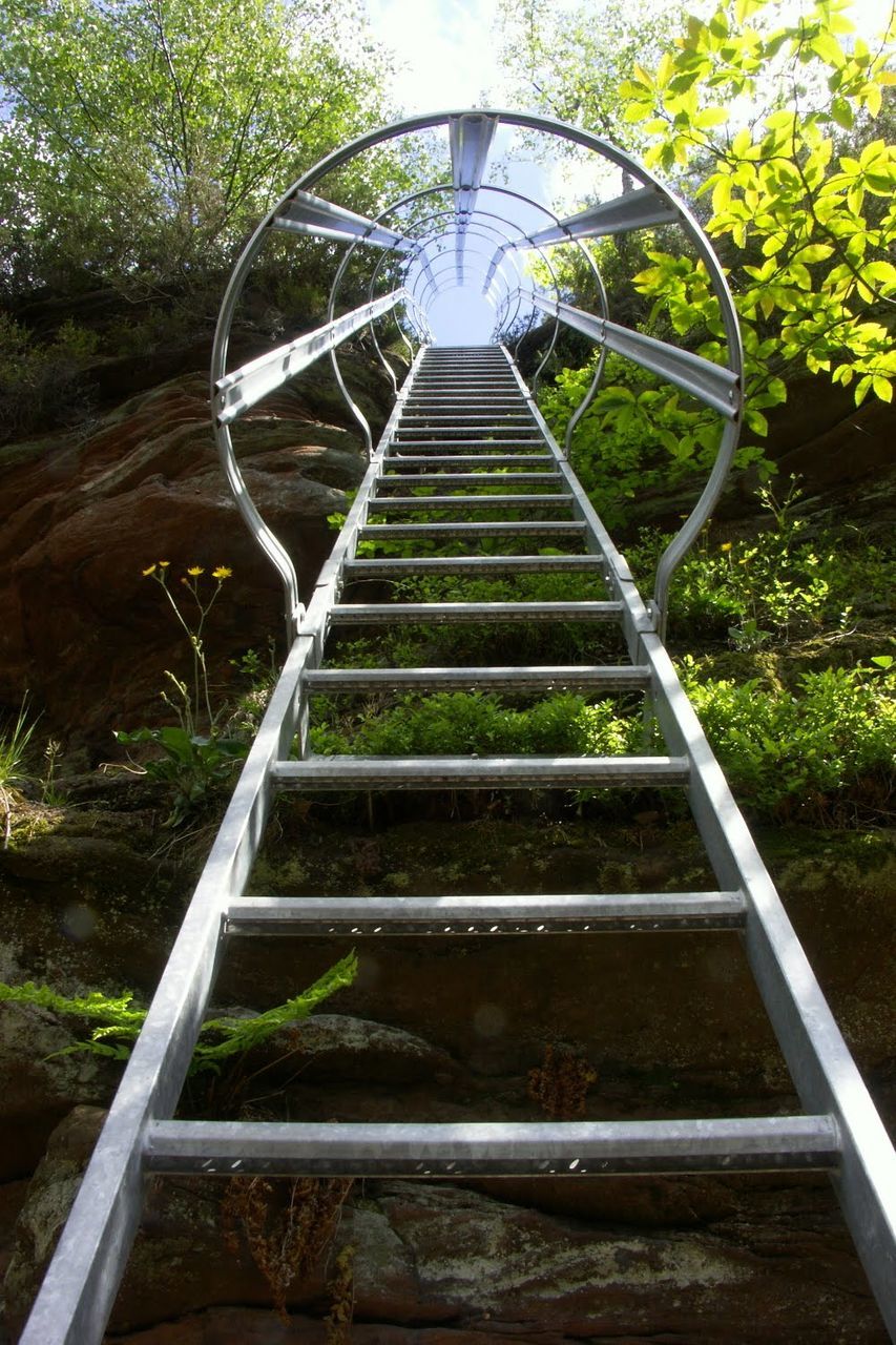 VIEW OF STEPS