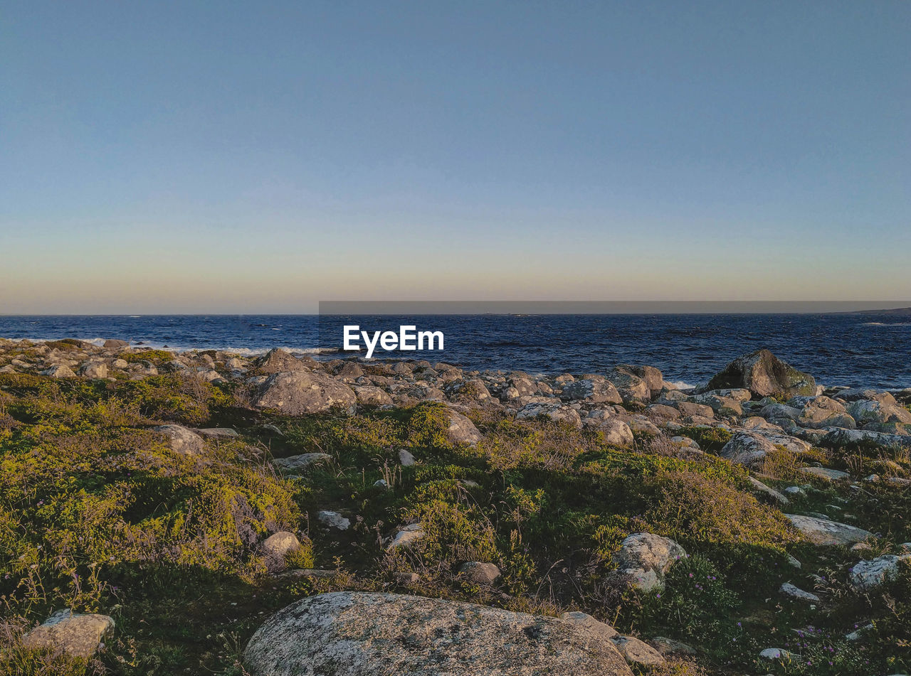 Scenic view of sea against clear sky