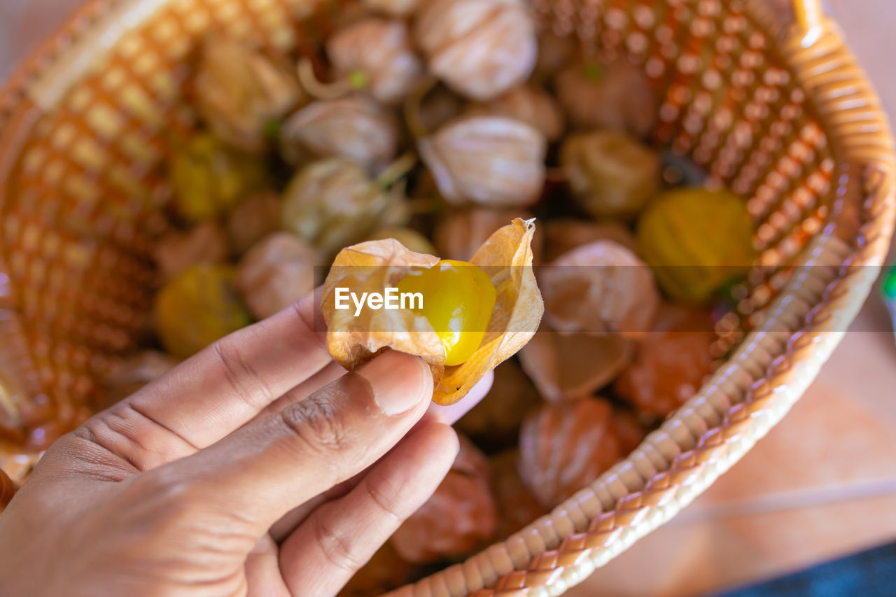 Cape gooseberry fruit , golden berry in basket and on hand.