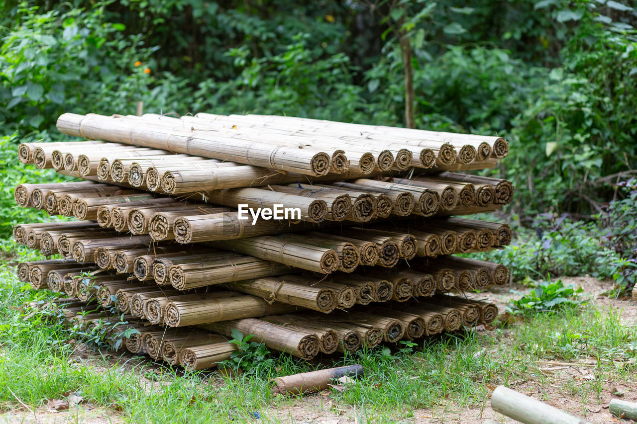 Close-up of logs