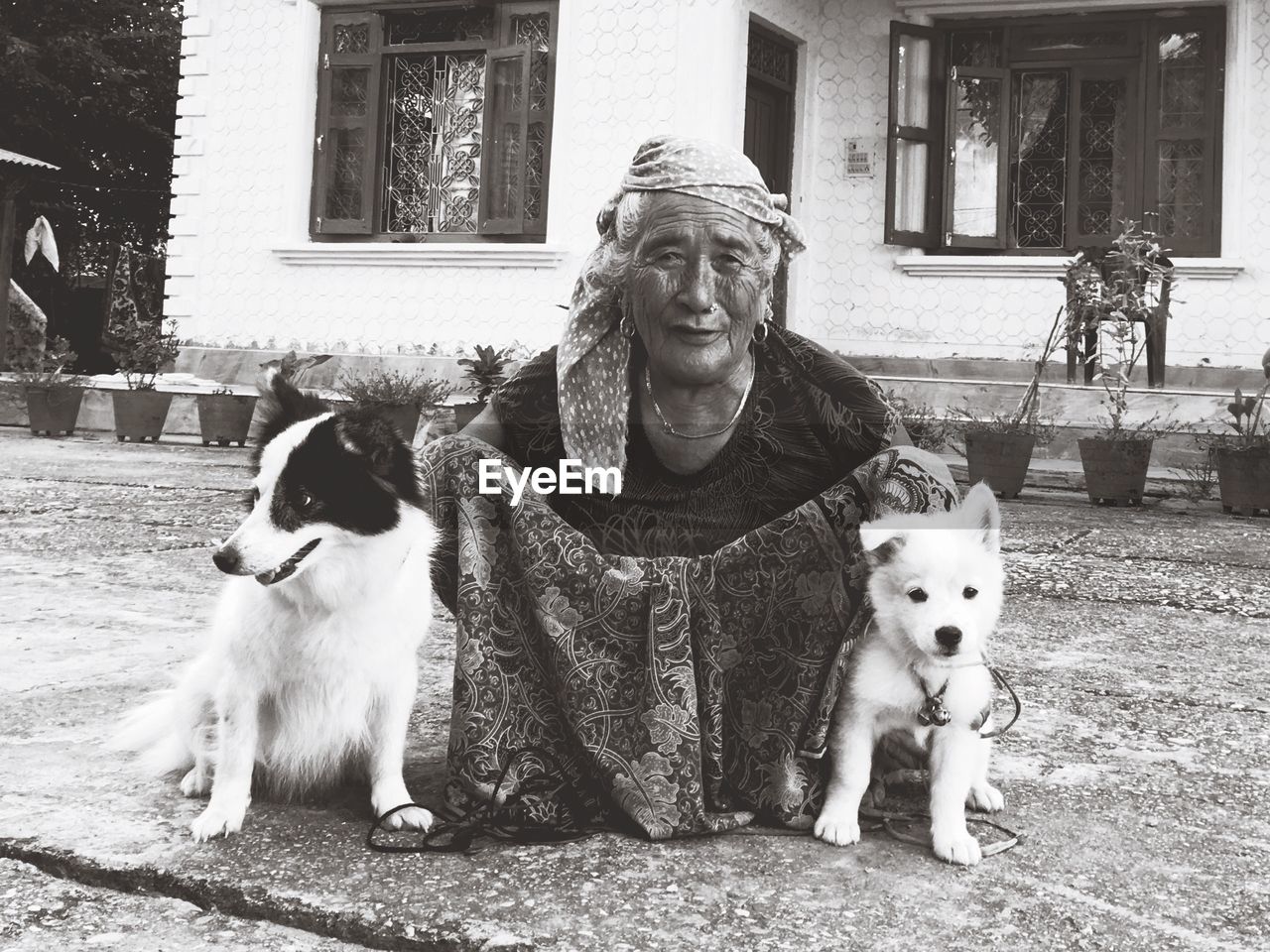Portrait of senior woman with dogs crouching outdoors