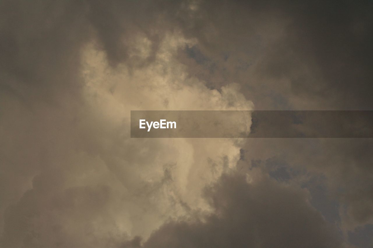 LOW ANGLE VIEW OF TREES AGAINST CLOUDY SKY