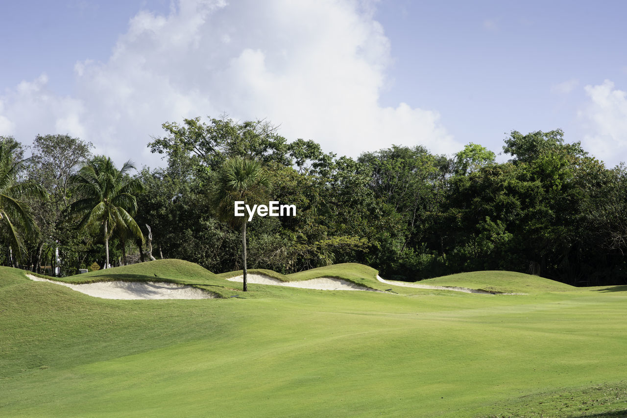 Panoramic view of a golf course with sand bunkers surrounded by tropical plants in mexico