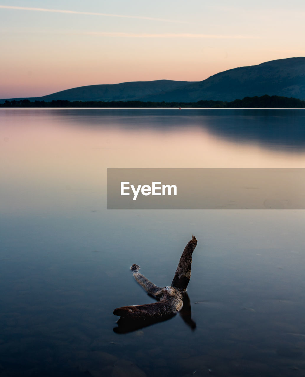 VIEW OF A BIRD IN LAKE