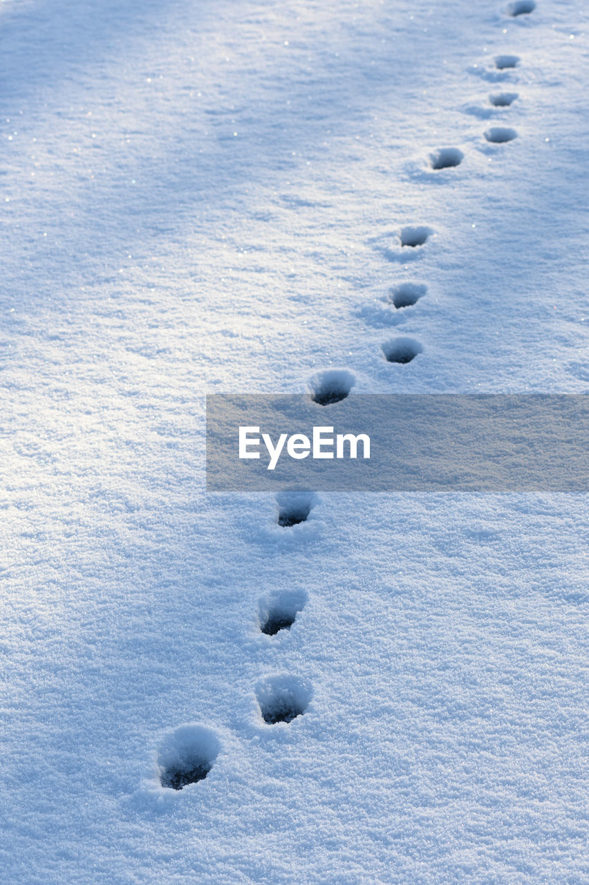 HIGH ANGLE VIEW OF FOOTPRINT IN SNOW