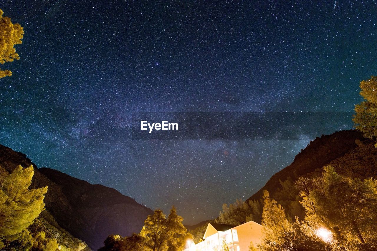 LOW ANGLE VIEW OF TREES AGAINST STAR FIELD