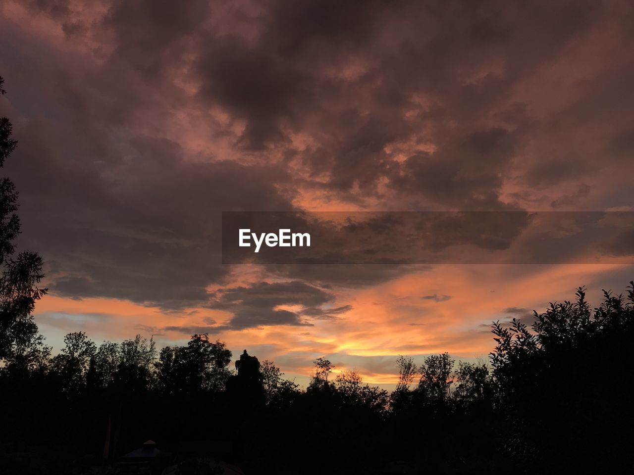 SILHOUETTE TREES AGAINST DRAMATIC SKY DURING SUNSET