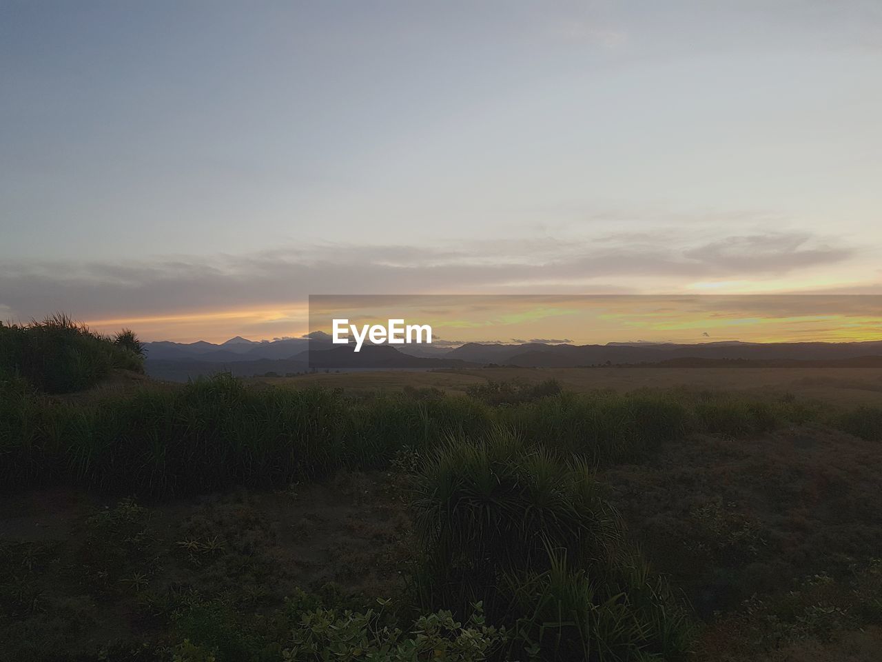 SCENIC VIEW OF FIELD AGAINST SKY AT SUNSET