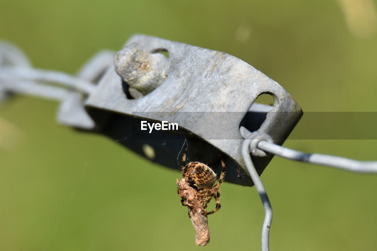 CLOSE-UP OF RUSTY METAL BARBED WIRE