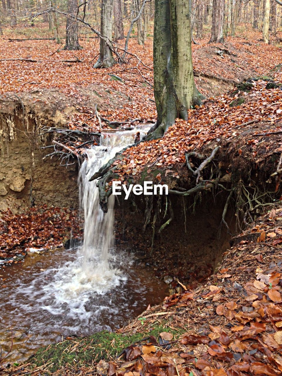 Small waterfall in forest during autumn