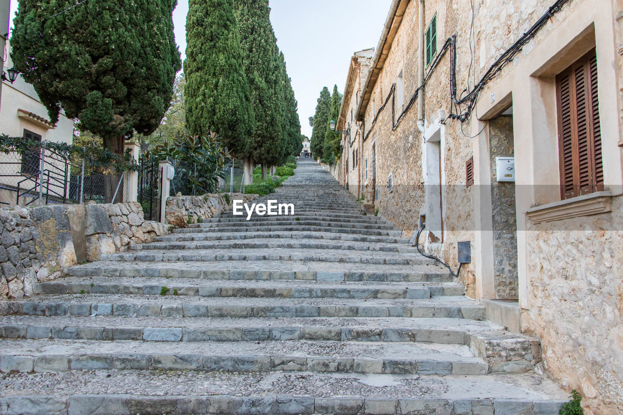 Low angle view of steps amidst trees against sky