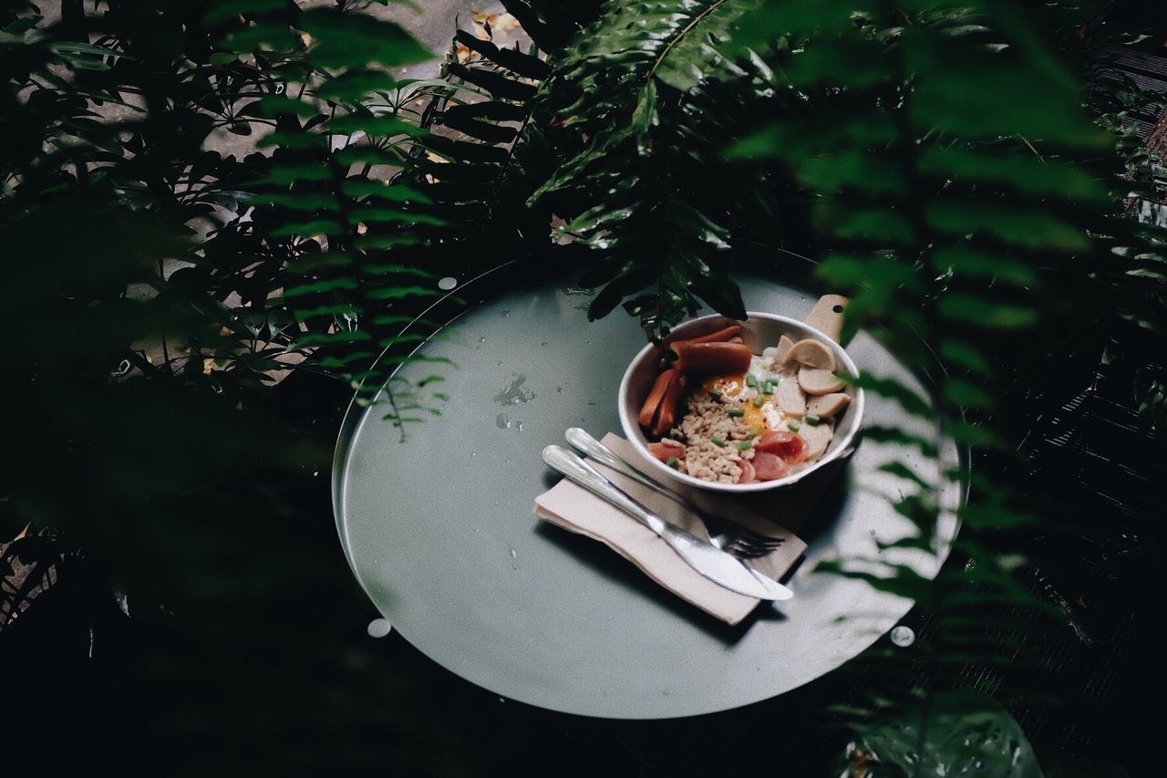 High angle view of food in plate on table amidst plants