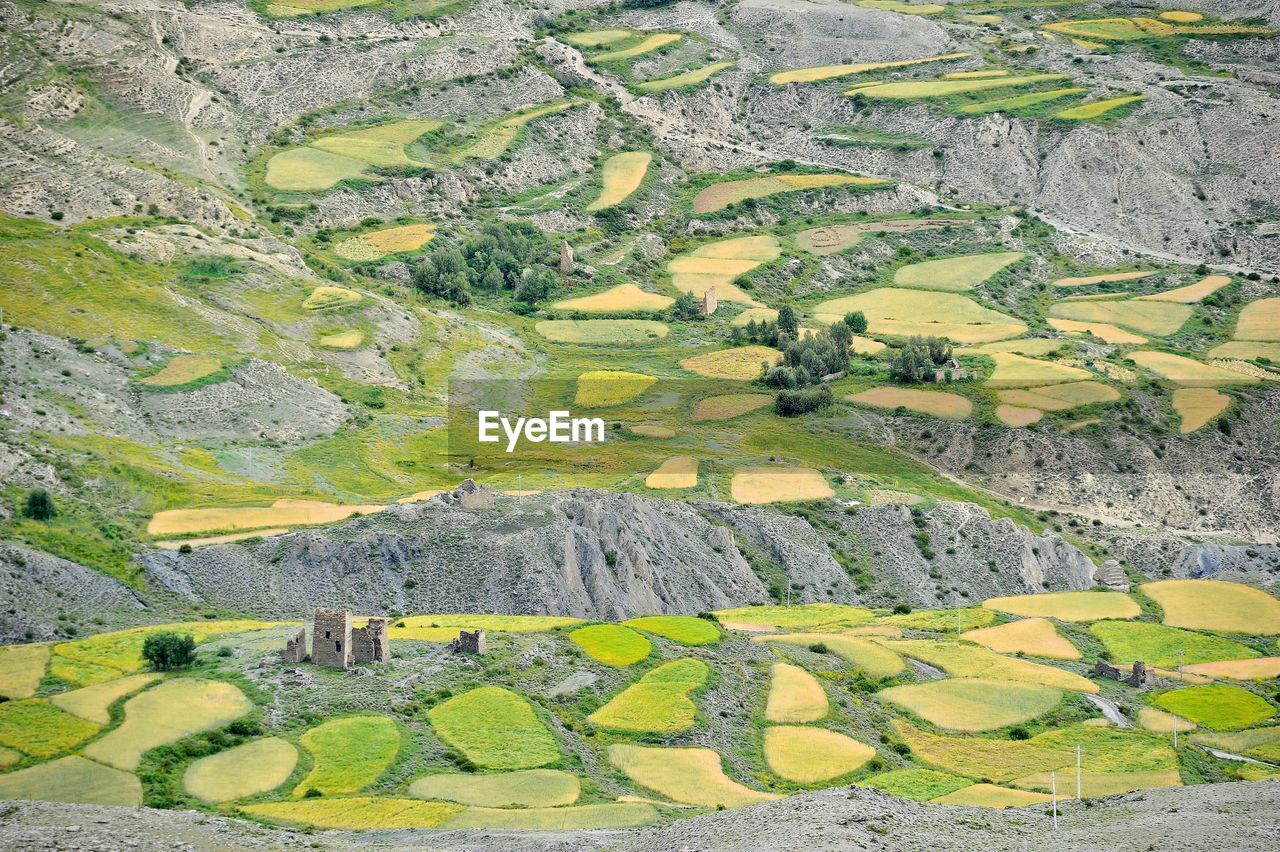 High angle view of green landscape