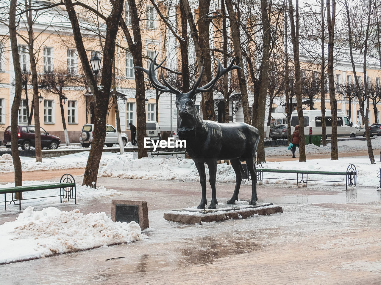 HORSE STANDING ON SNOW COVERED TREES