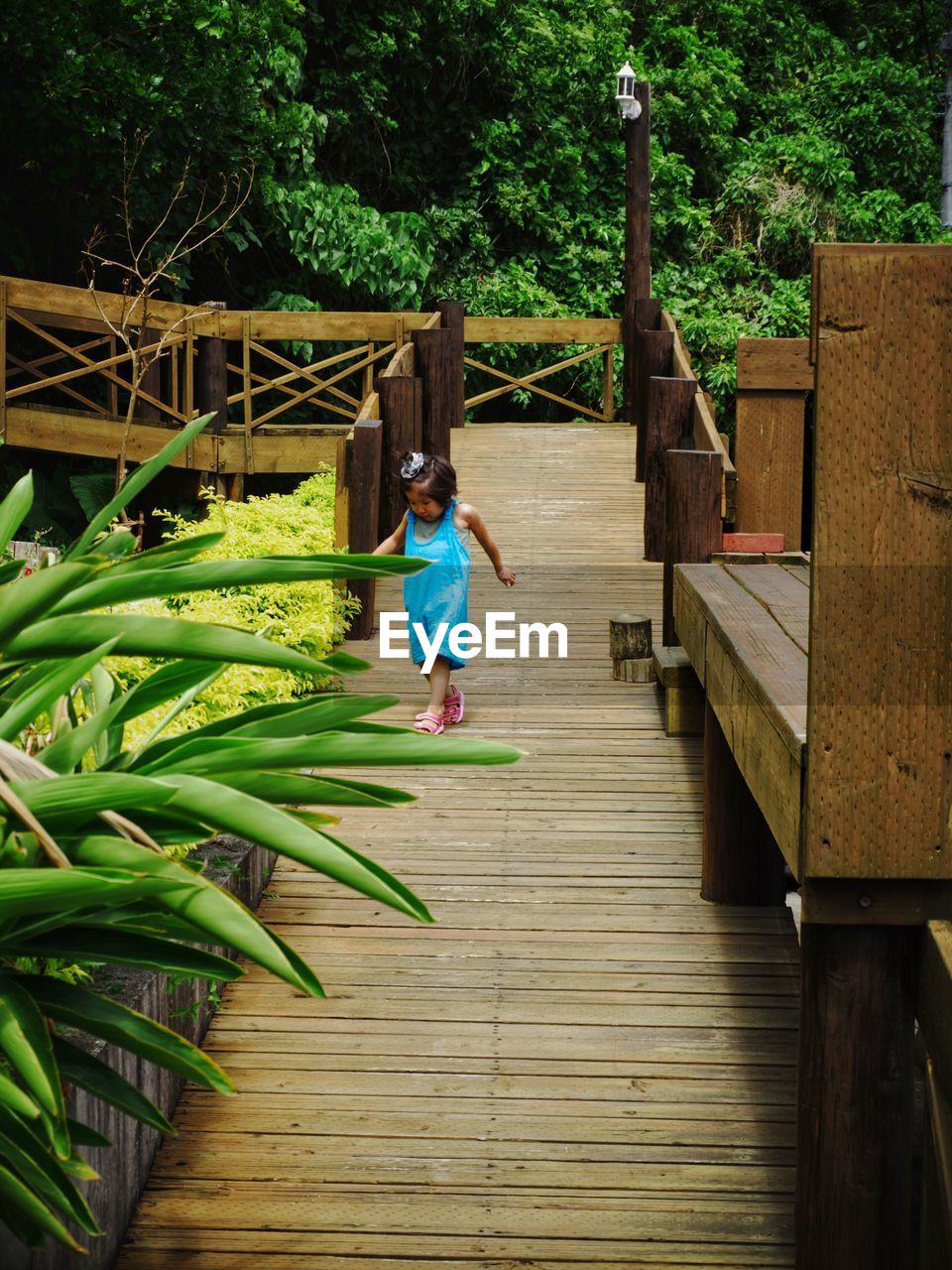 Full length of girl walking on wooden pier by plants