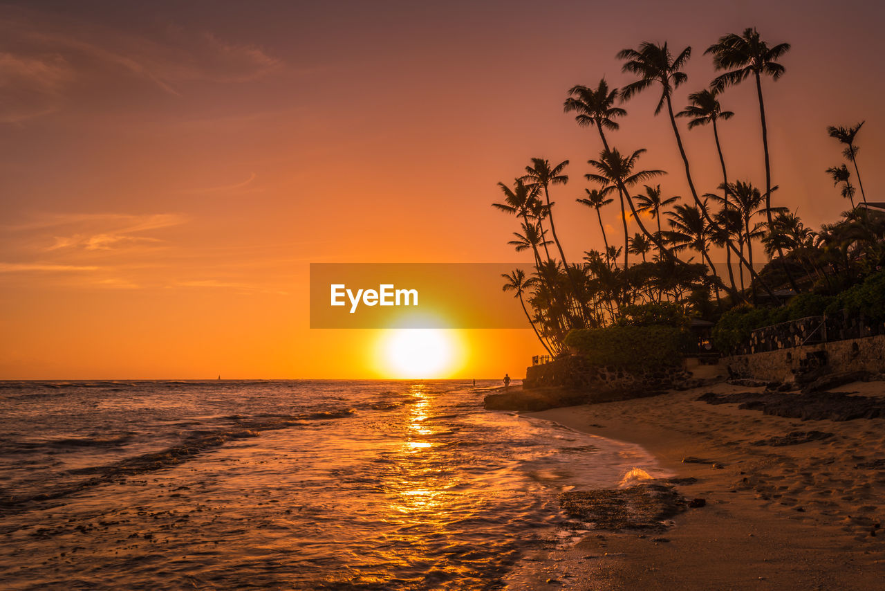 sunset, sky, water, sea, beauty in nature, land, tropical climate, beach, scenics - nature, nature, palm tree, tranquility, sun, horizon over water, tranquil scene, ocean, tree, idyllic, orange color, sunlight, plant, horizon, coast, travel destinations, seascape, environment, dusk, sand, shore, cloud, evening, holiday, landscape, vacation, no people, travel, trip, outdoors, dramatic sky, reflection, wave, afterglow, coconut palm tree, coastline, silhouette, tourism, island, summer, relaxation, non-urban scene, tropical tree, twilight, romantic sky, motion