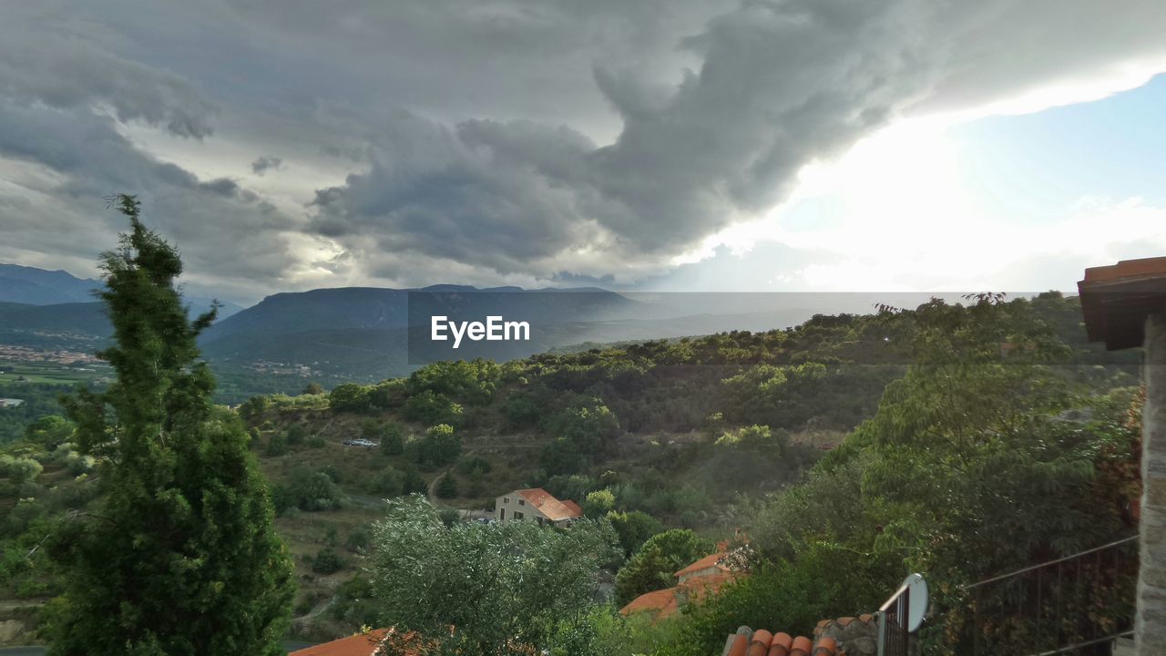 Trees growing on landscape against sky