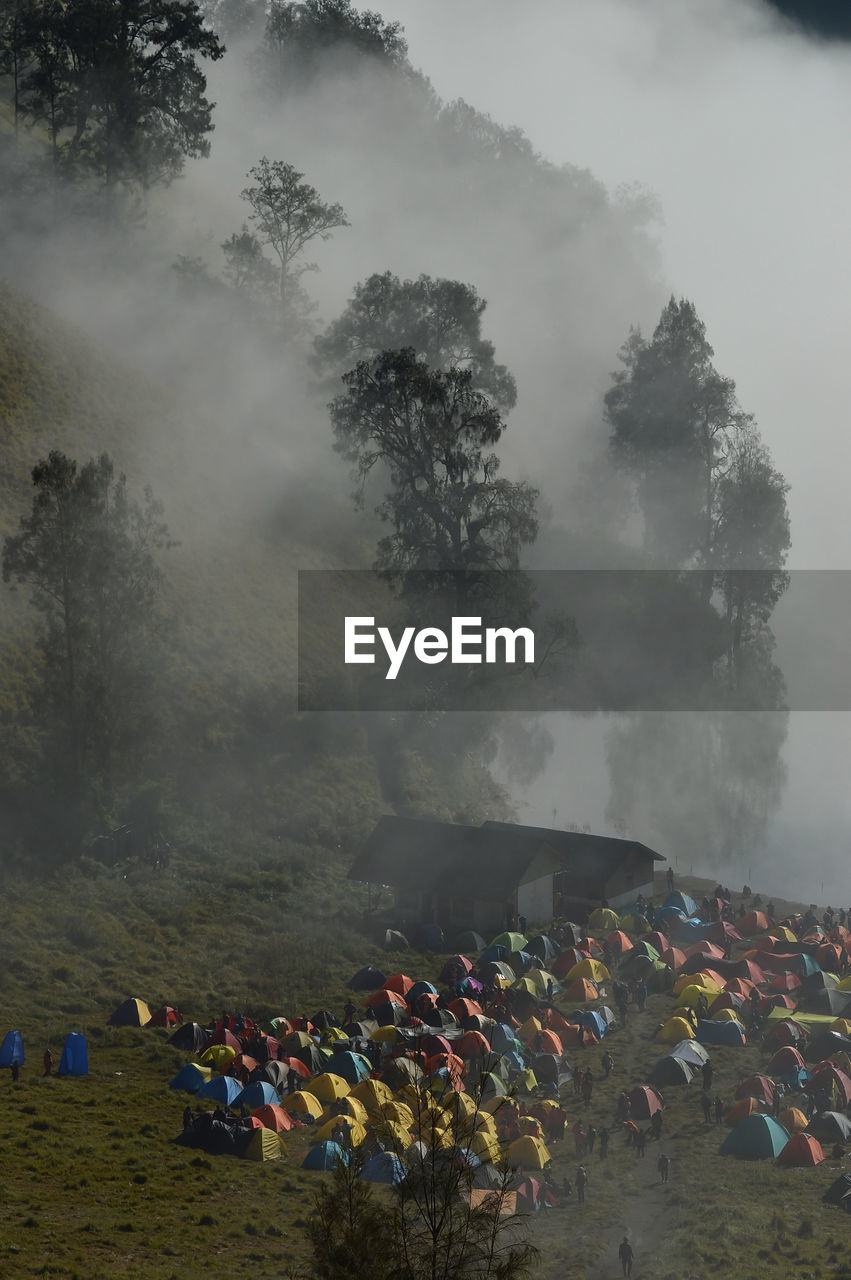 Tents on land in forest during foggy weather