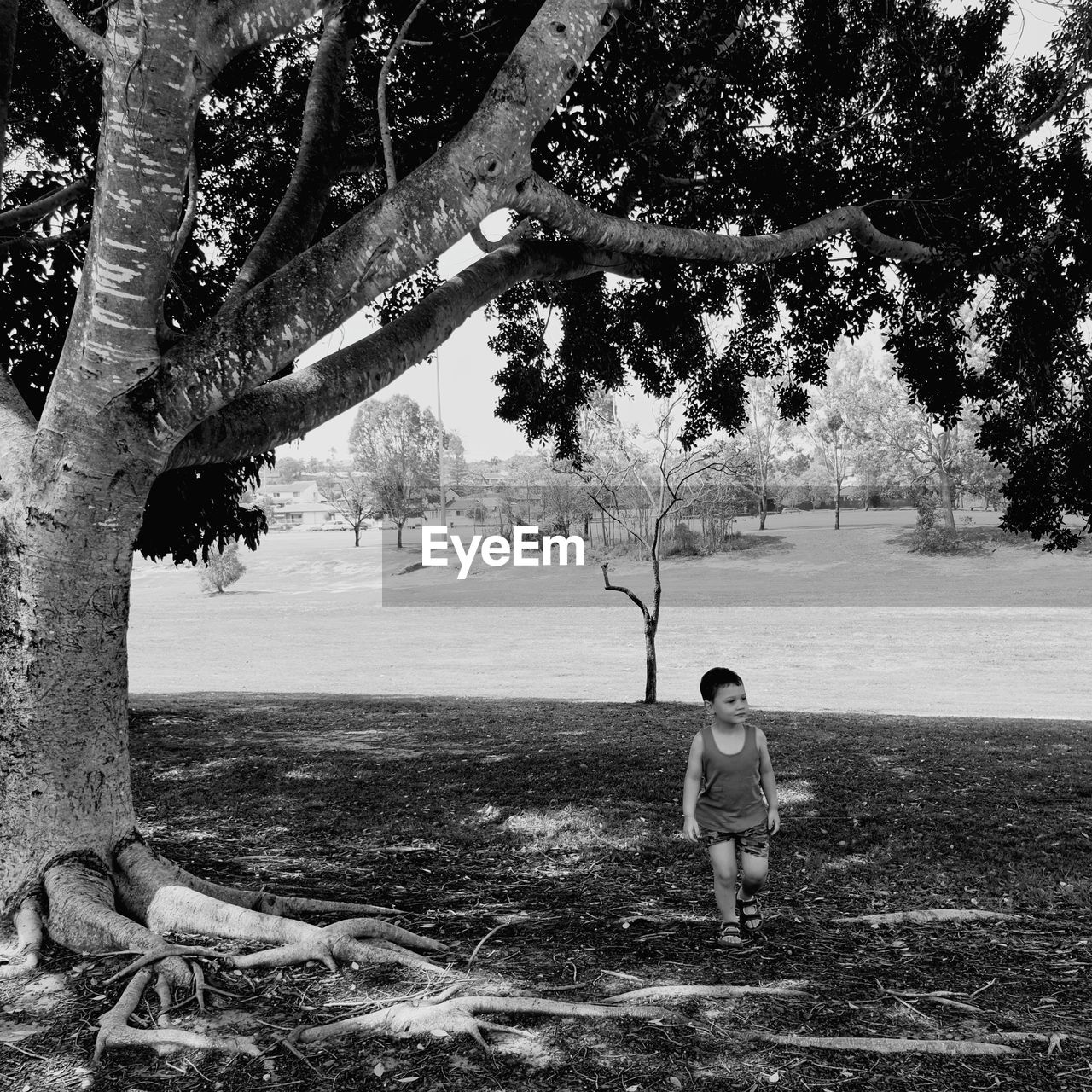 Boy walking by tree on field