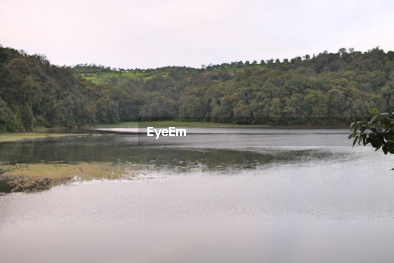 SCENIC VIEW OF LAKE AGAINST TREES AND SKY