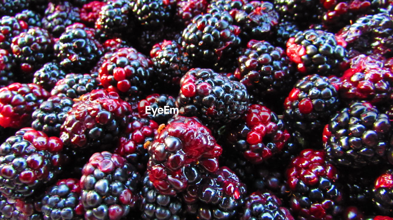 Blackberries