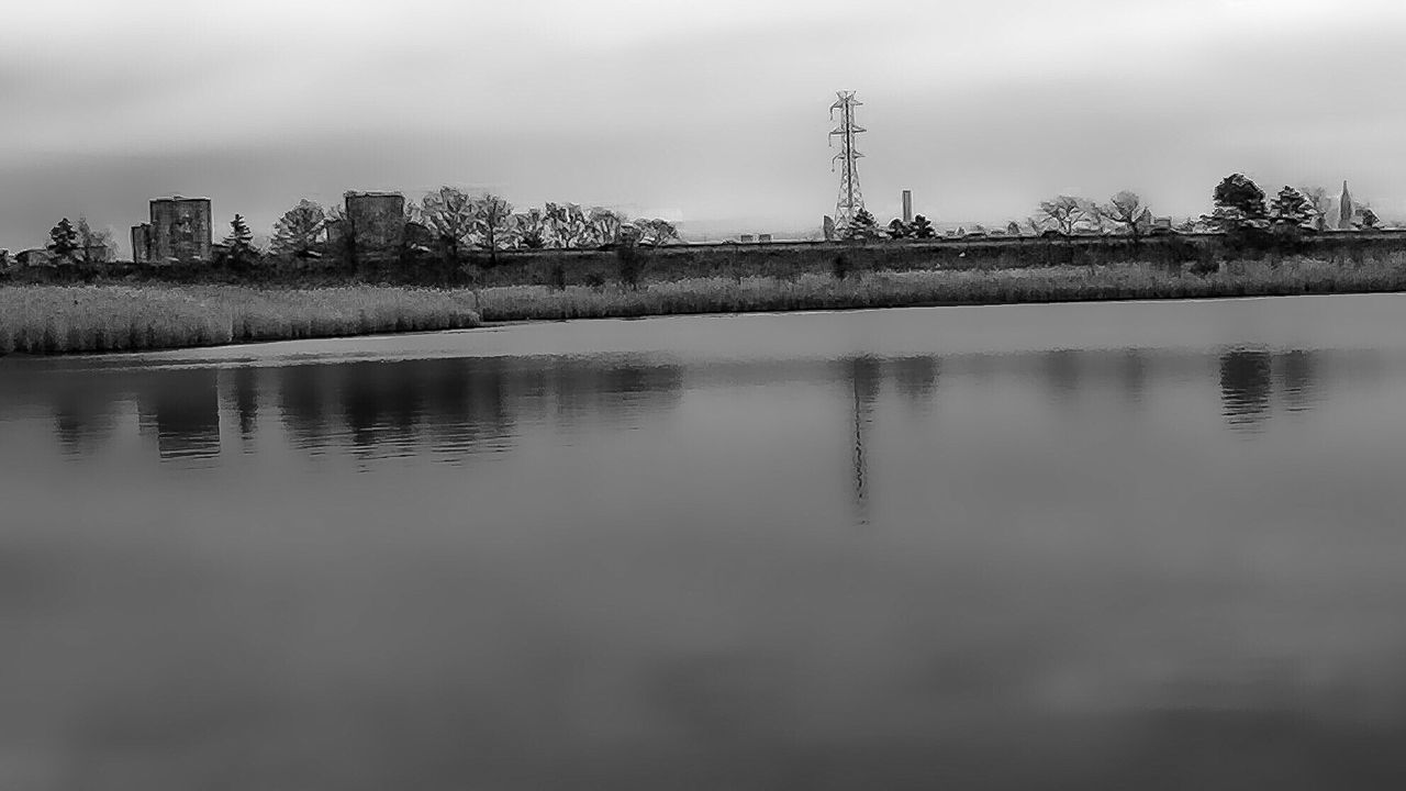 REFLECTION OF TREES IN CALM WATER