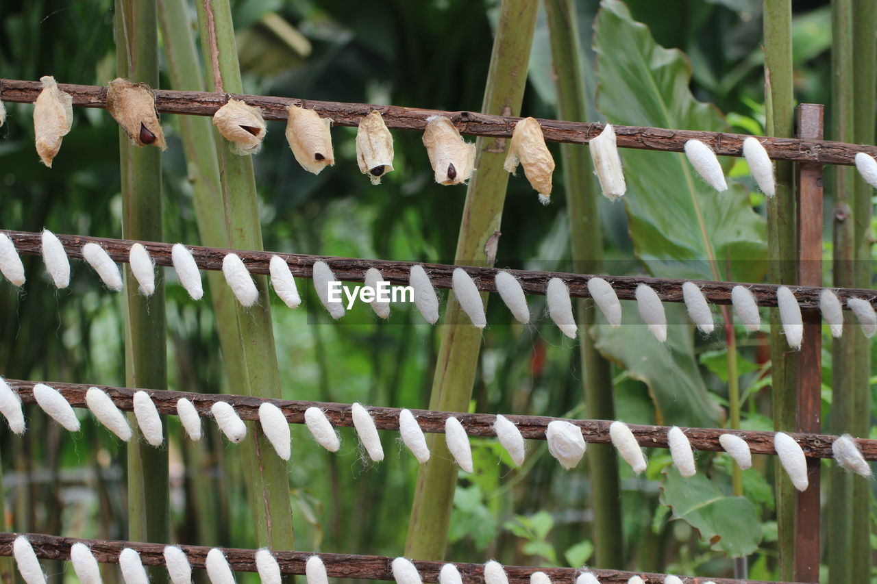 FULL FRAME SHOT OF FENCE