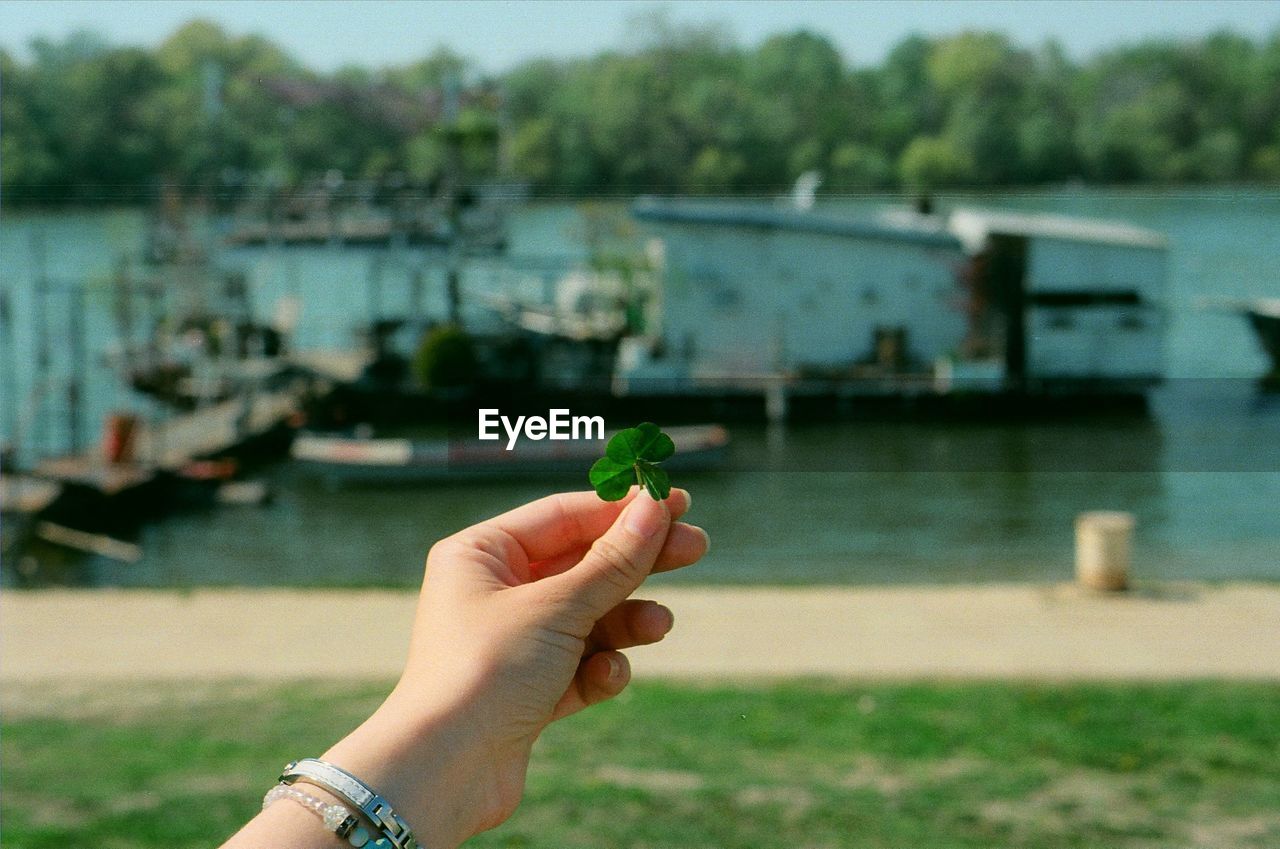 Cropped hand holding clover leaf against harbor