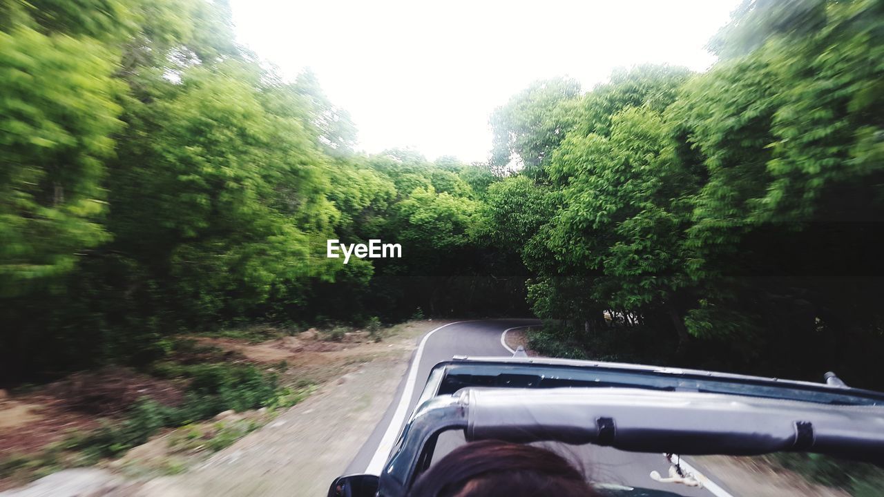 CAR ON ROAD AGAINST TREES