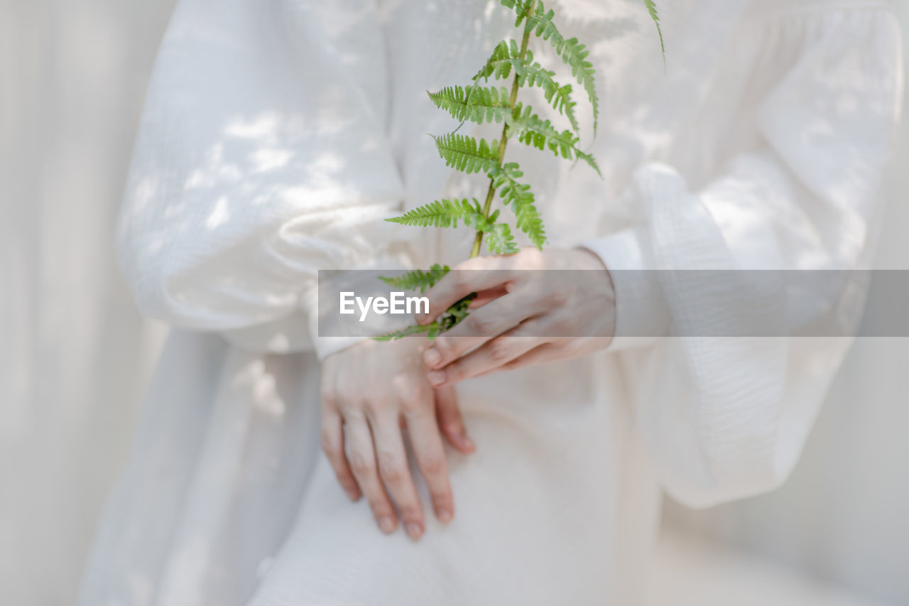 Midsection of woman holding leaf against curtain at home