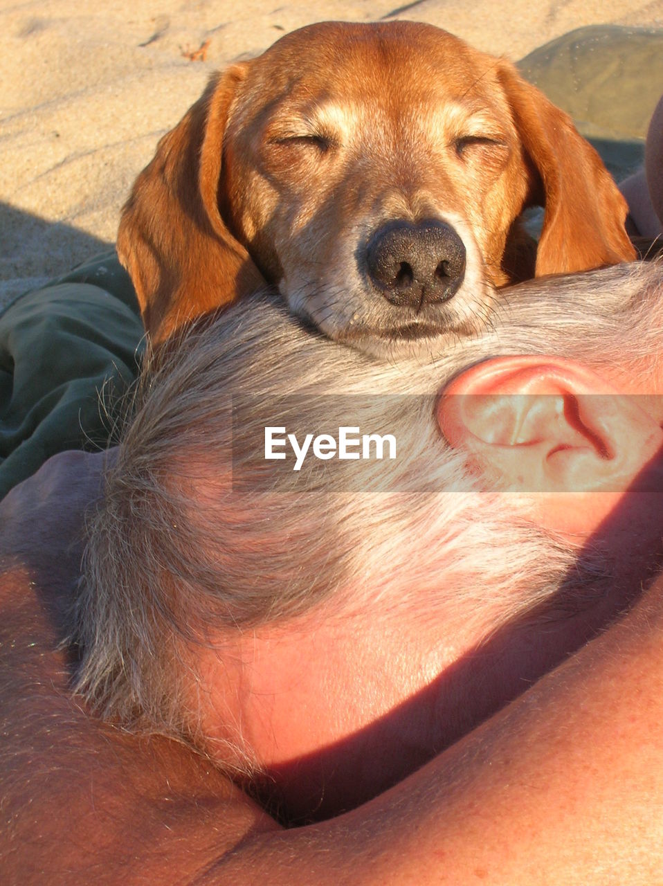 High angle view of man with dog relaxing on beach