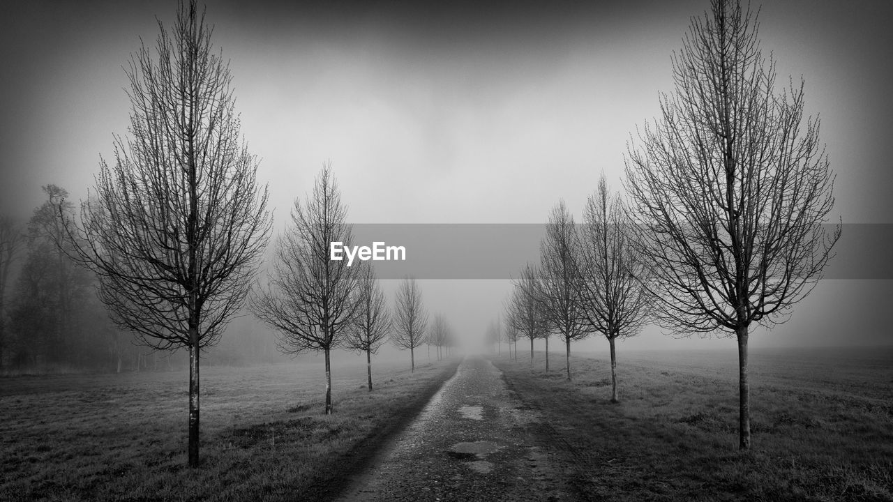 Road amidst bare trees on field against sky