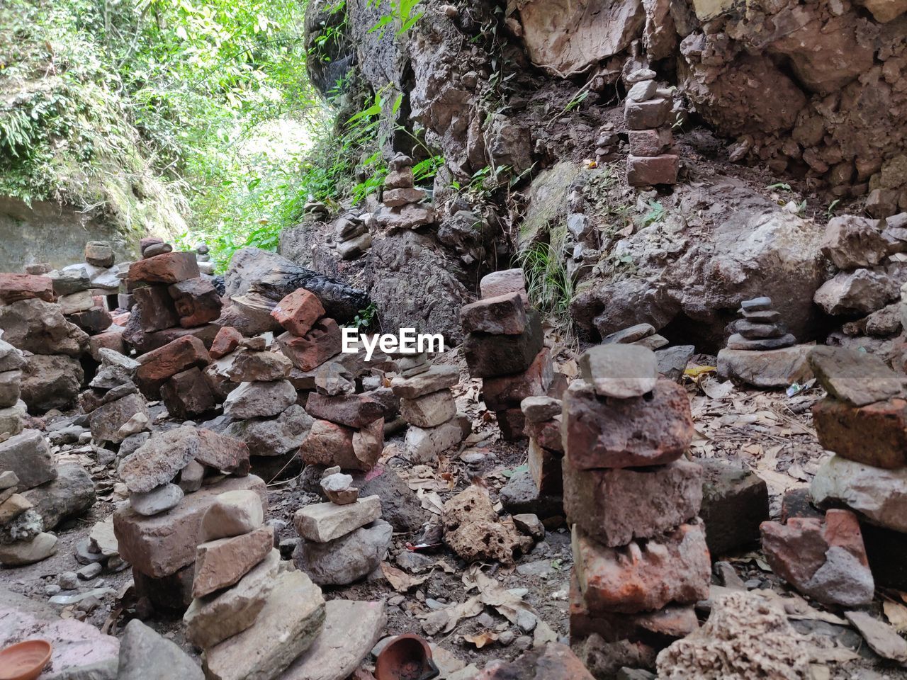 rock, nature, day, land, tree, soil, no people, plant, geology, forest, stone, boulder, outdoors, bedrock, tranquility, rubble, beauty in nature, high angle view, growth, non-urban scene