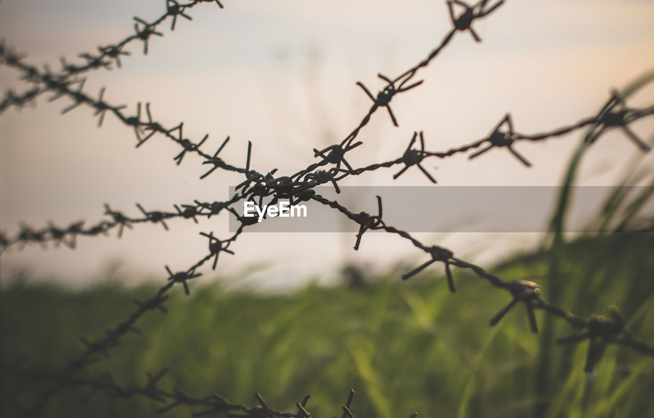 CLOSE-UP OF BARBED WIRE AGAINST FENCE