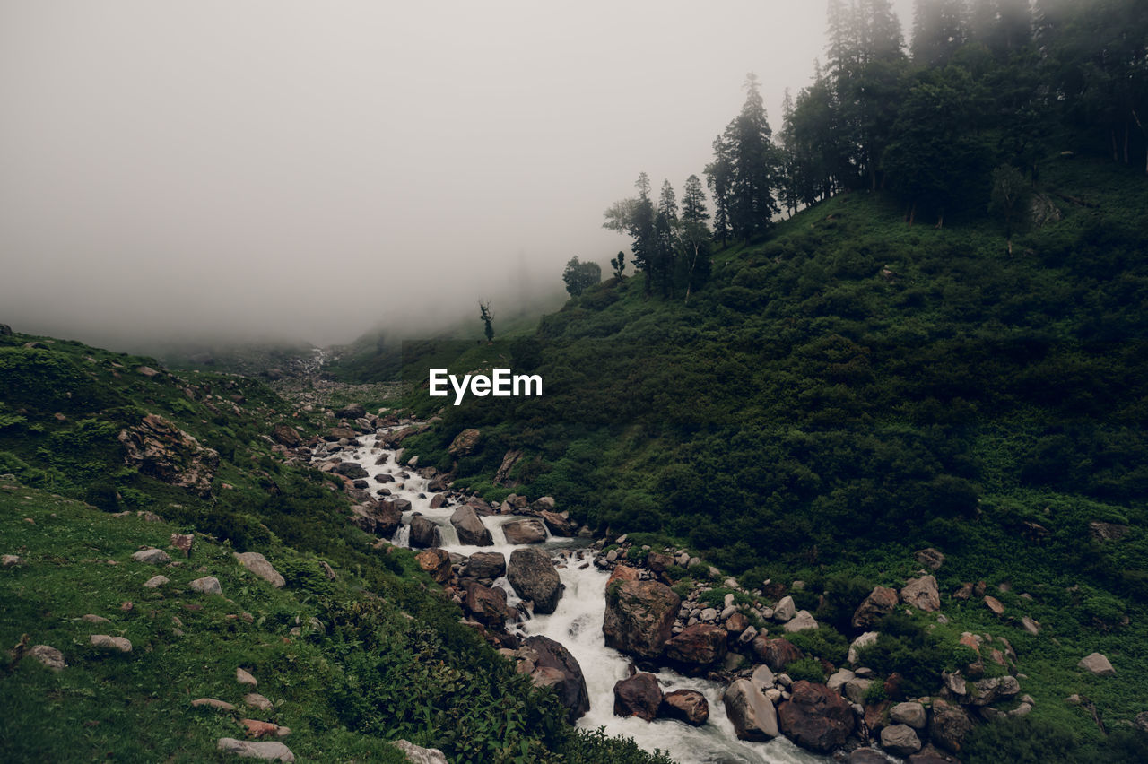 fog, environment, hill, nature, plant, tree, land, scenics - nature, landscape, sky, beauty in nature, mountain range, travel, architecture, travel destinations, forest, no people, aerial photography, tourism, water, tranquility, outdoors, built structure, non-urban scene, social issues, tranquil scene, green, building exterior, mist, coast, building, terrain, high angle view, valley, cloud, day, cliff, overcast