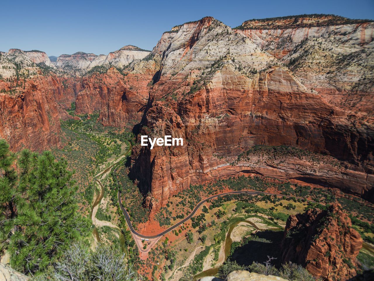 From angel's landing