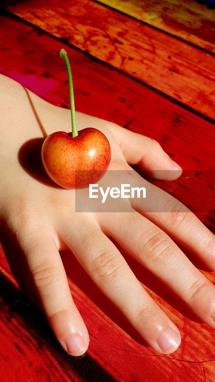 CLOSE-UP OF HAND HOLDING RED CHILI