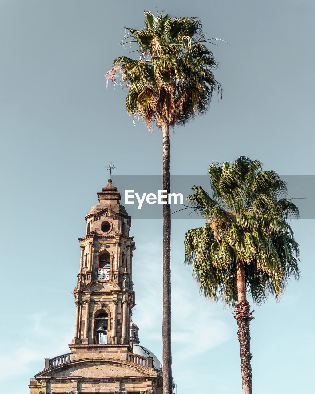 Low angle view of  palm tree and church against sky