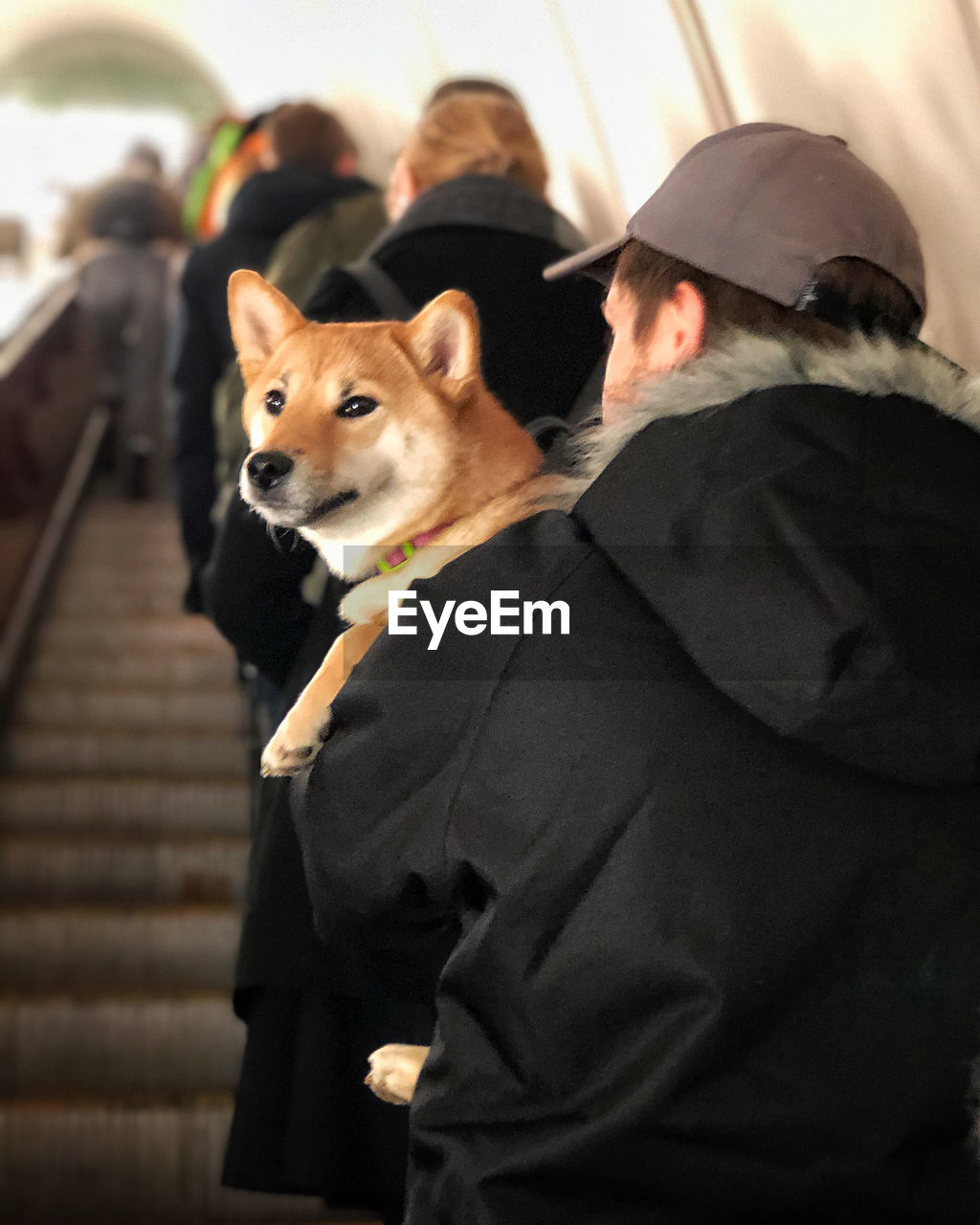 PEOPLE WITH DOG STANDING ON STREET