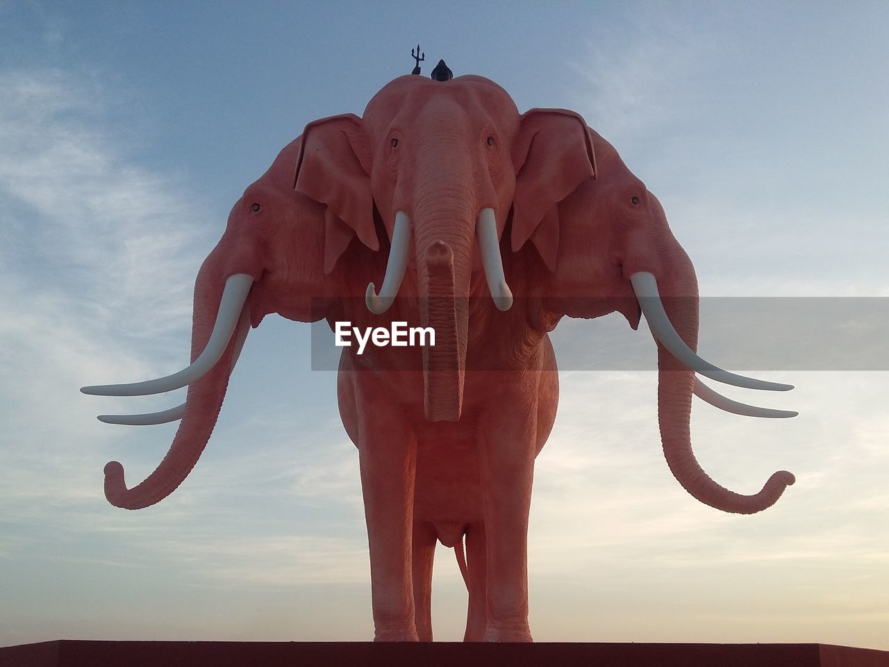 LOW ANGLE VIEW OF ELEPHANT STANDING AGAINST SKY