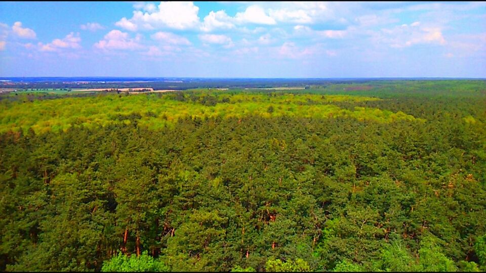 SCENIC VIEW OF LANDSCAPE AGAINST CLOUDY SKY