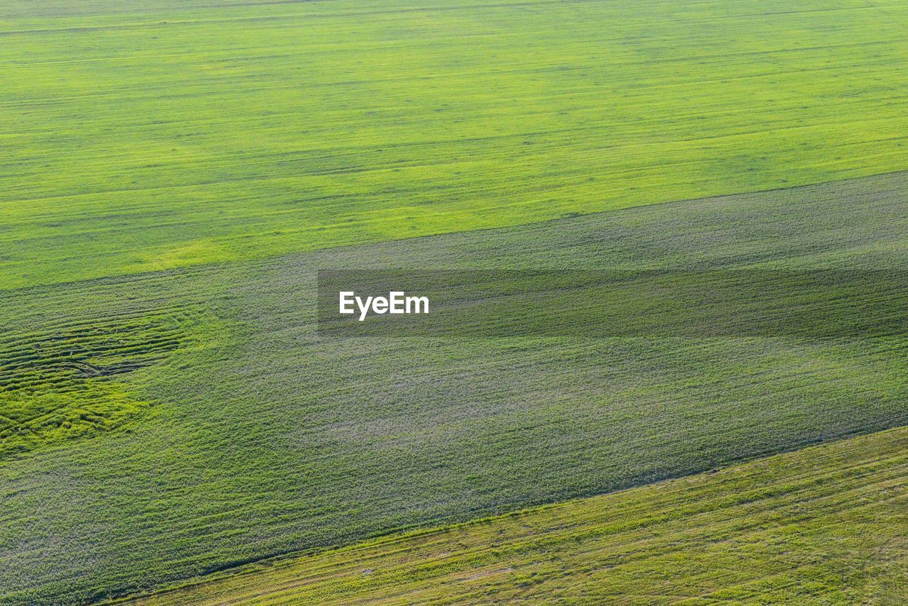 Aerial view of green landscape