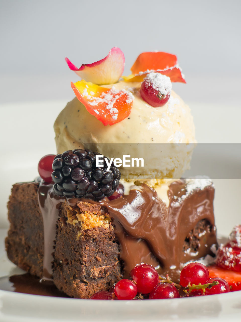 Close-up of ice cream brownie served in plate