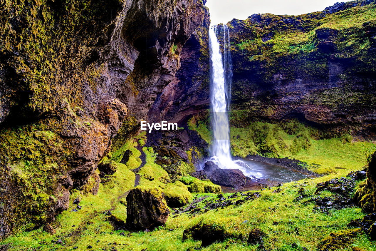 Scenic view of waterfall in forest