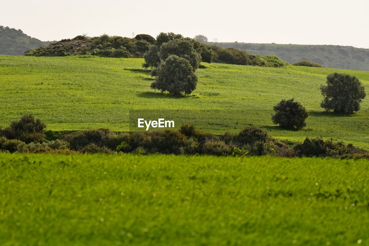 Green fields and landscapes in cyprus