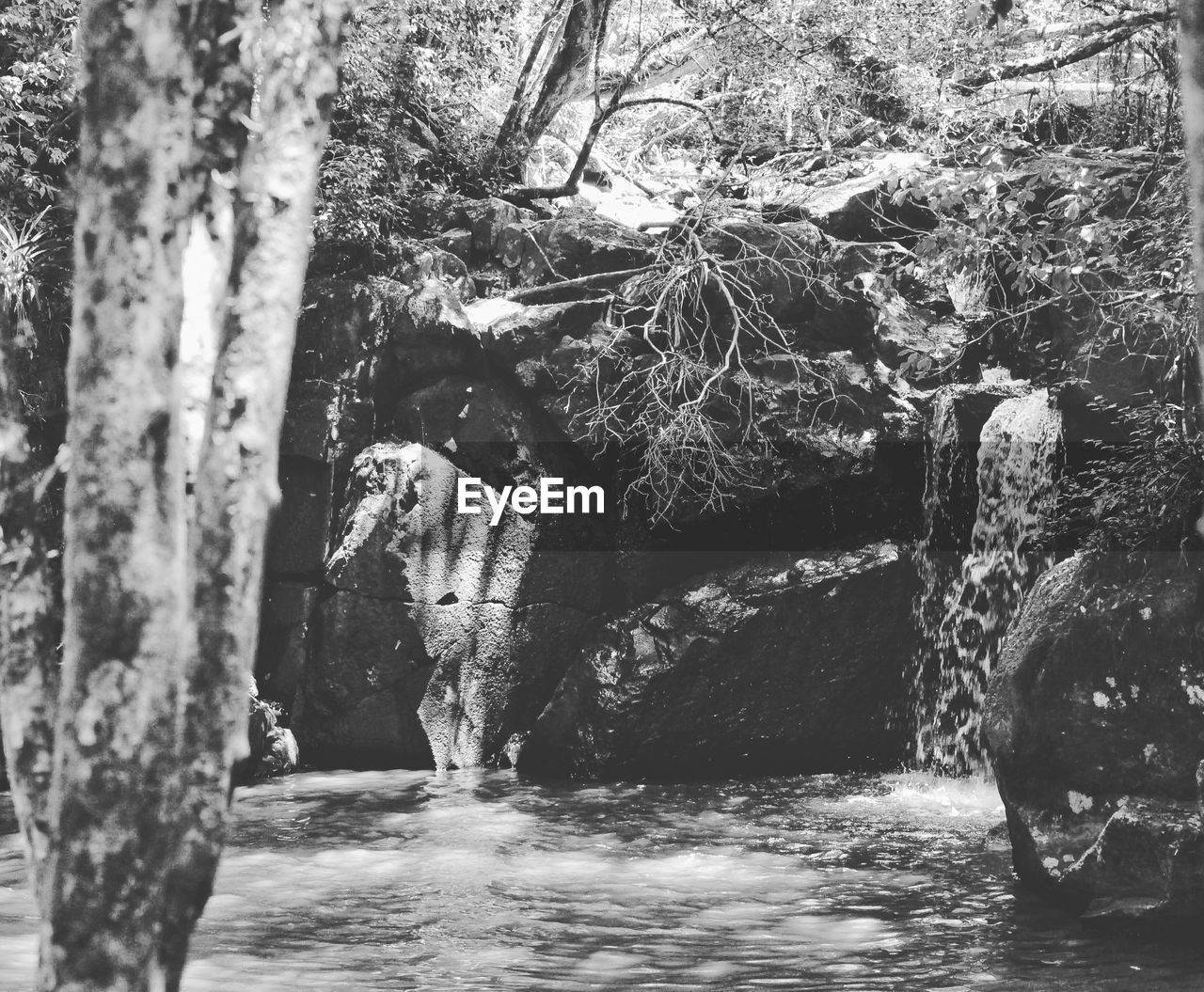 VIEW OF WATERFALL IN FOREST