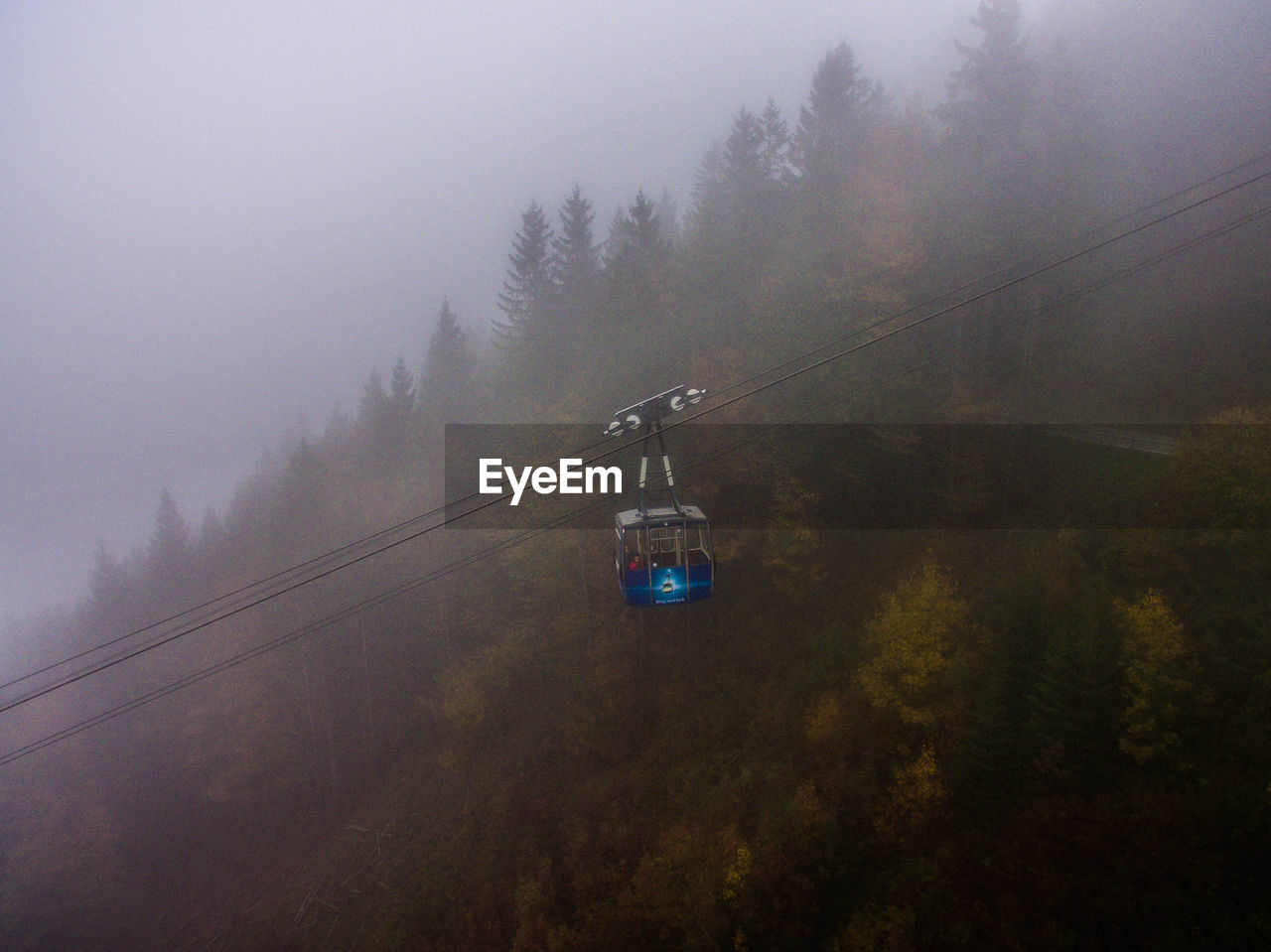 OVERHEAD CABLE CAR IN FOREST DURING FOGGY WEATHER