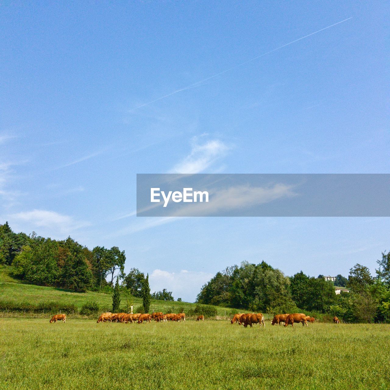 Scenic view of landscape against cloudy sky