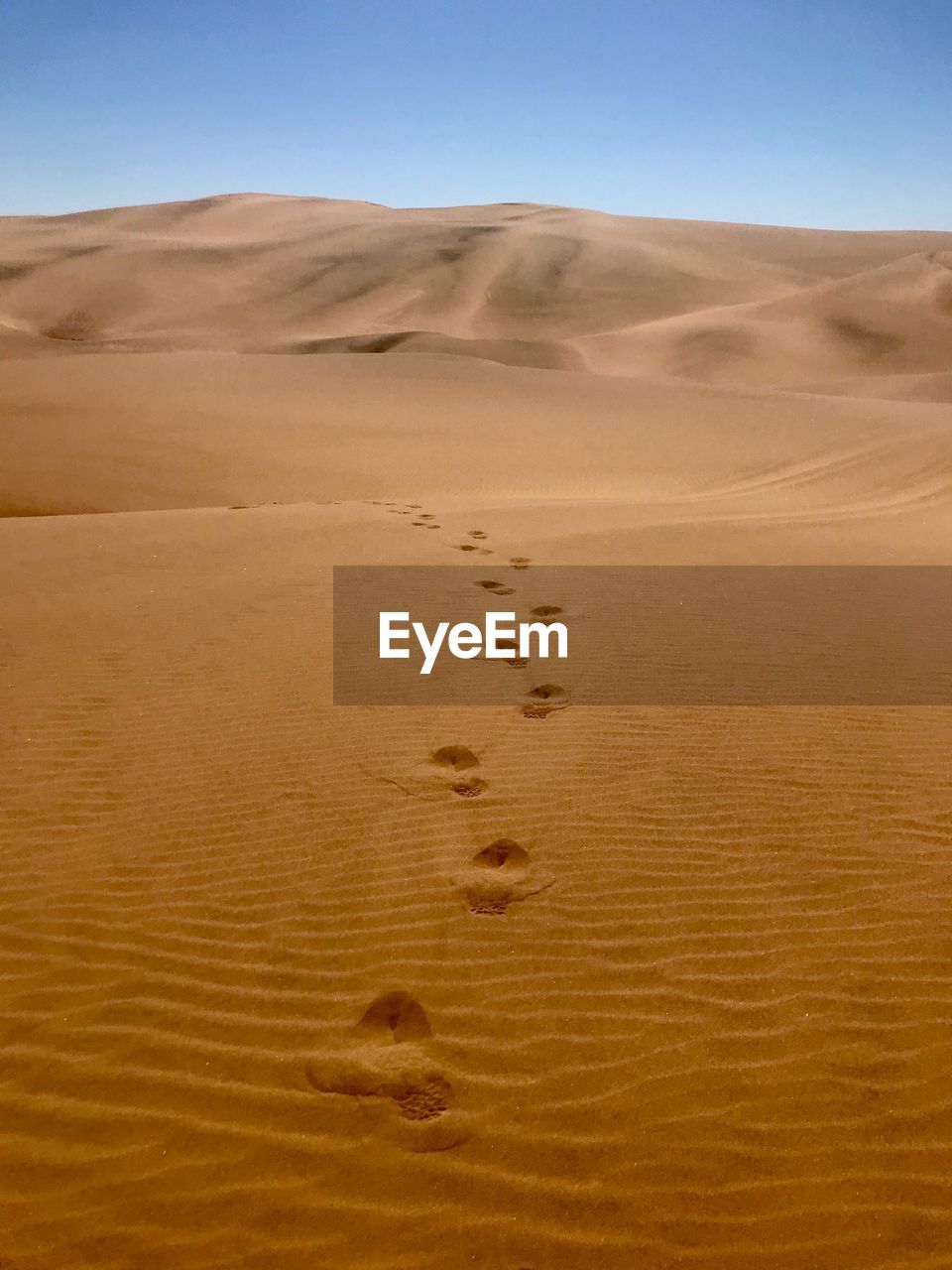 Sand dunes in desert against clear sky