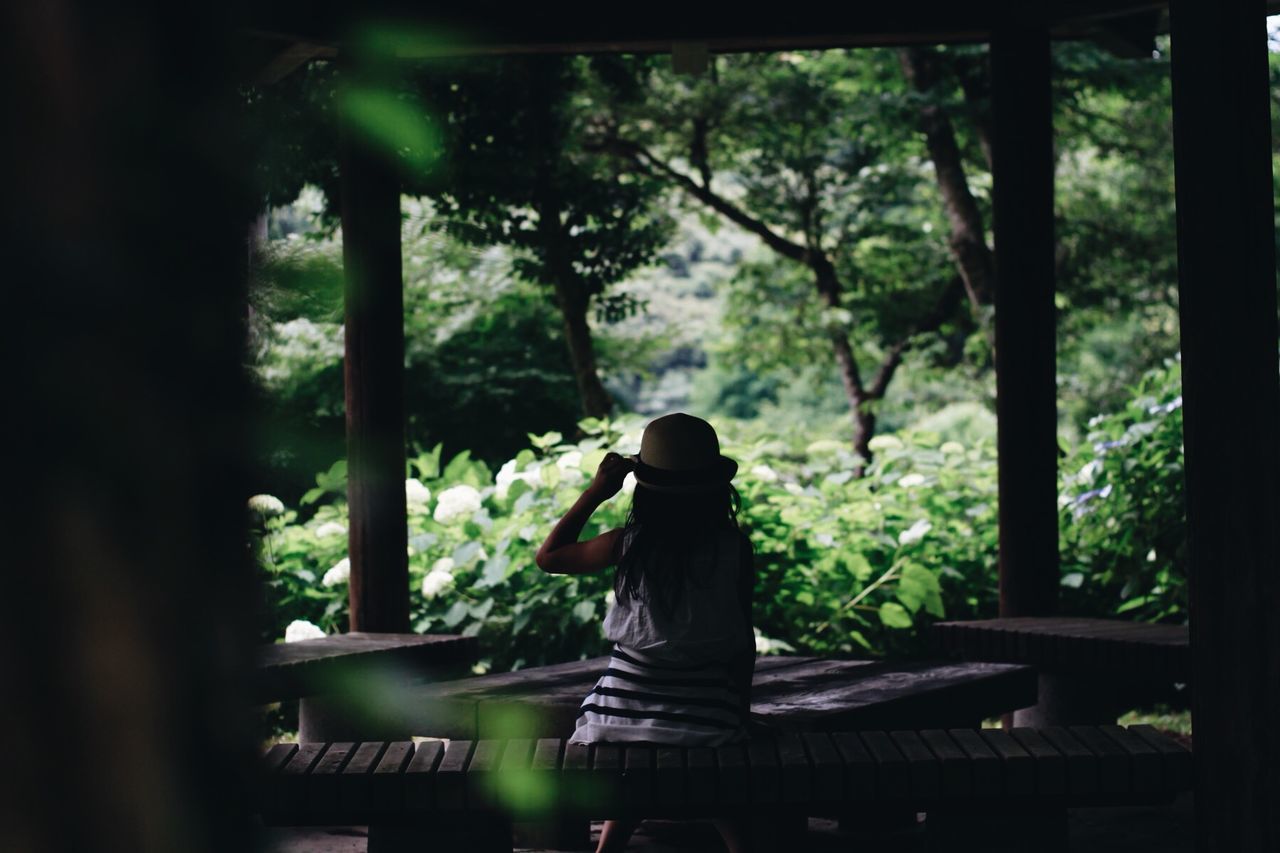 Rear view of woman sitting on bench in park